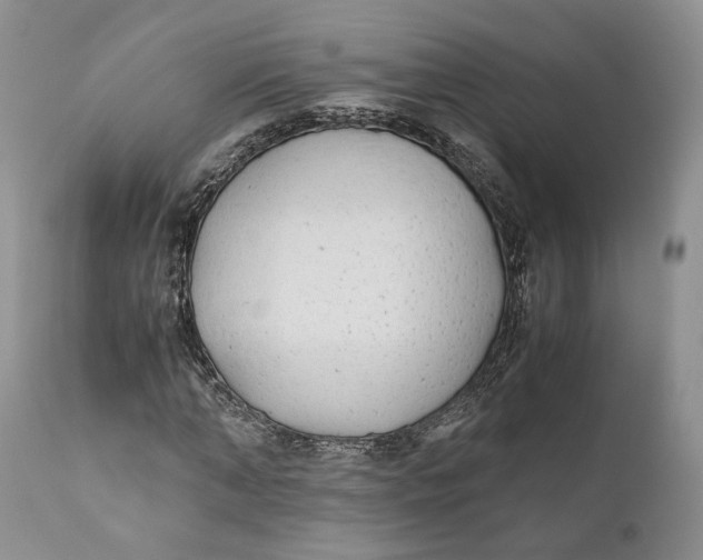 X0000110930870200907091518