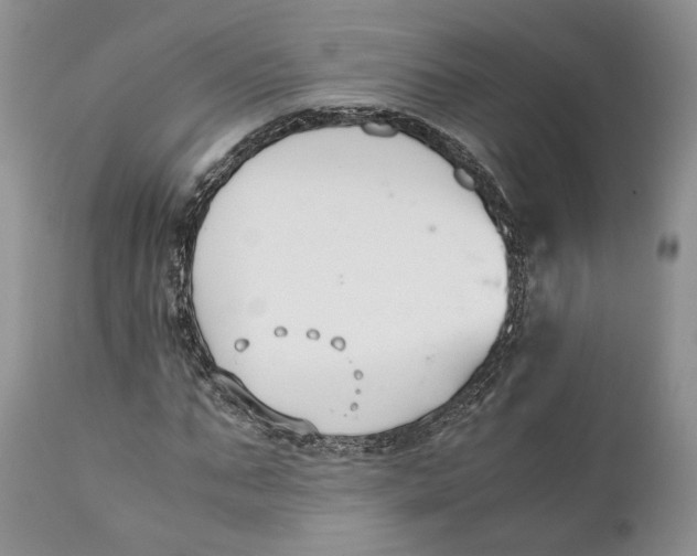 X0000110930871200907091518