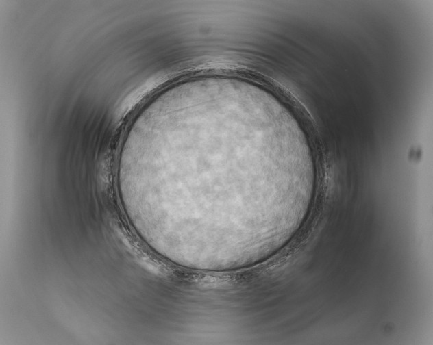 X0000110930874200907091518