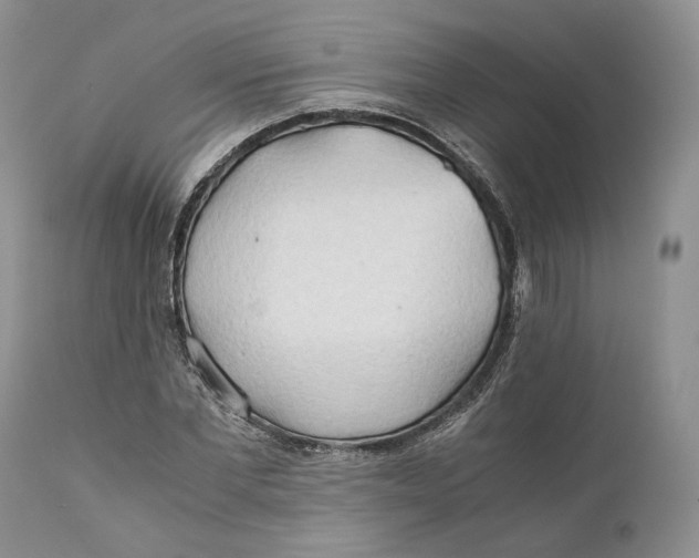 X0000110930877200907091518