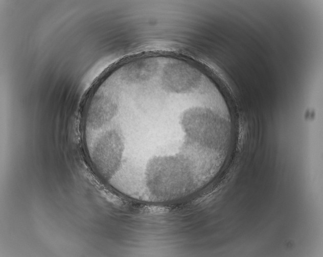 X0000110930878200907091518