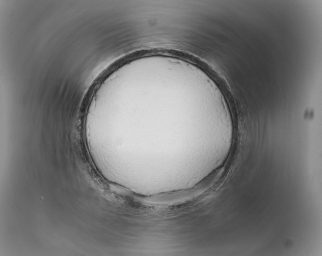 X0000110930879200907091518