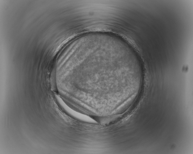 X0000110930881200907091518