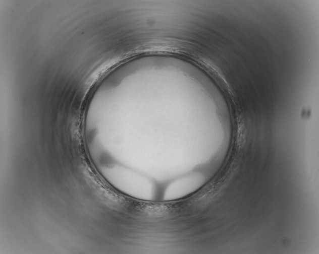 X0000110930882200907091518