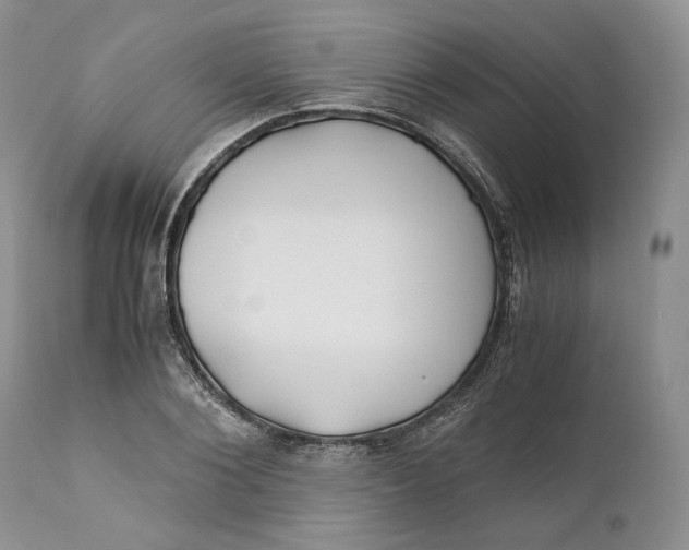 X0000110930884200907091518