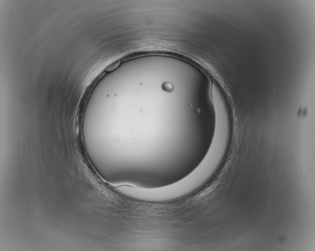 X0000110930885200907091518