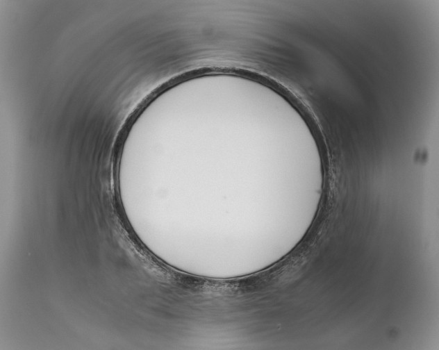X0000110930887200907091518
