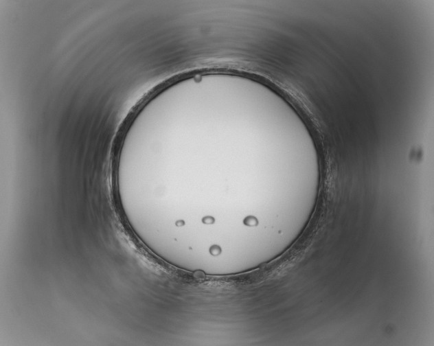 X0000110930888200907091518