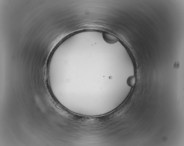 X0000110930891200907091518