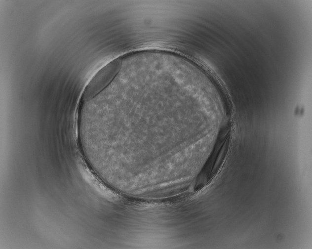 X0000110930892200907091518