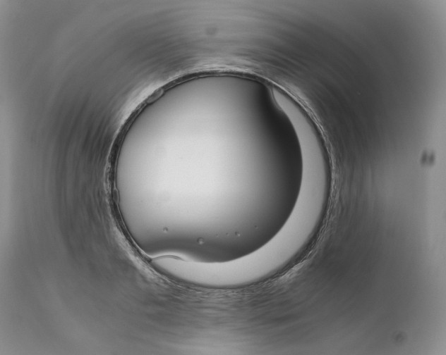 X0000110930893200907091518