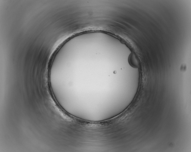 X0000110930894200907091518