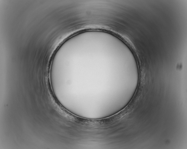 X0000110930895200907091517