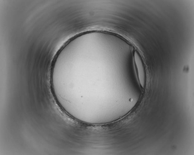 X0000110930896200907091517