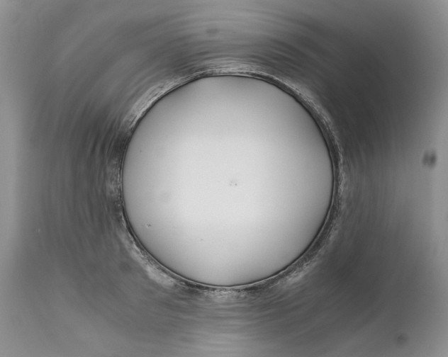 X0000110930897200907091517
