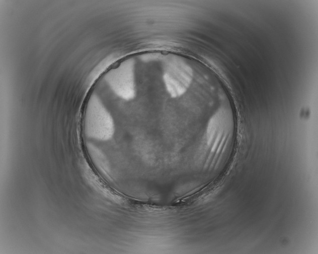 X0000110930899200907091517
