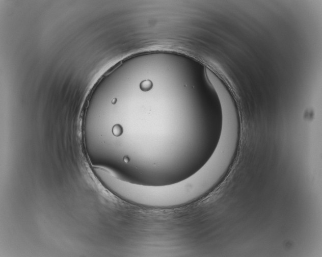 X0000110930900200907091517