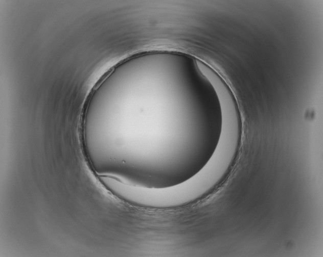 X0000110930901200907091517