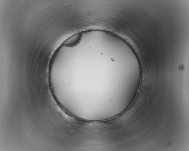X0000110930902200907091517