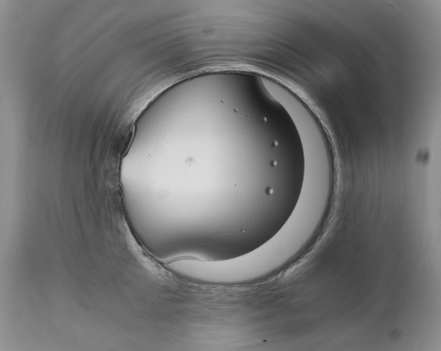 X0000110930905200907091517