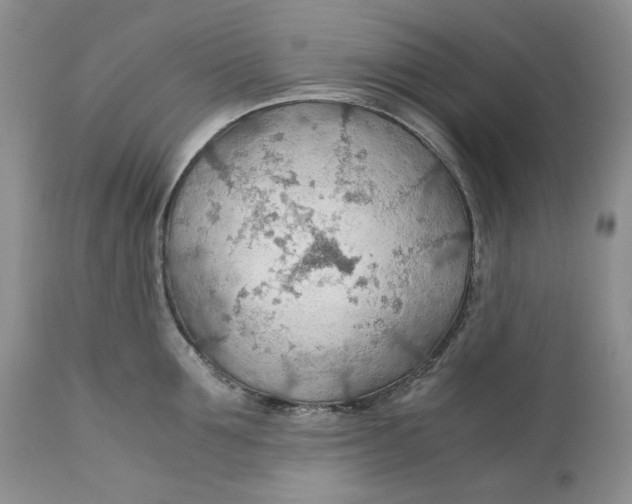 X0000110930907200907091517