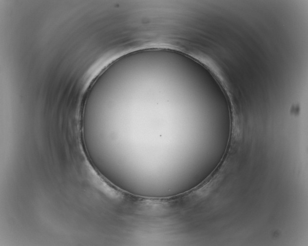 X0000110930910200907091517