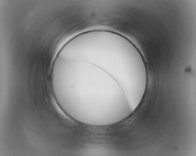 X0000110930911200907091517