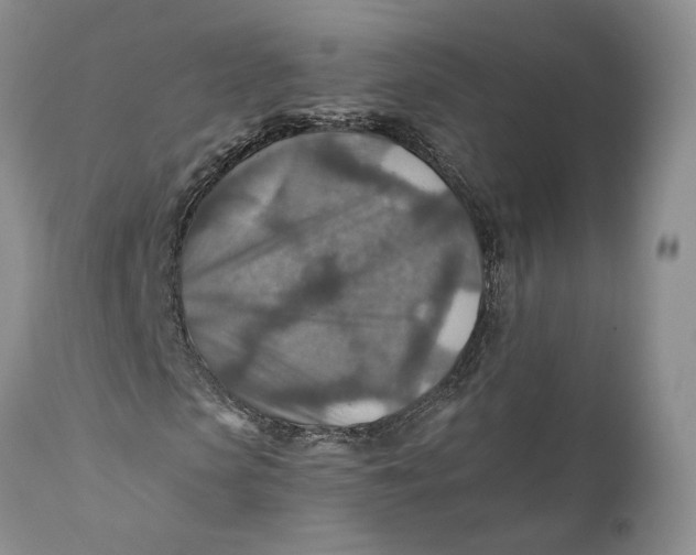 X0000110930913200907091517