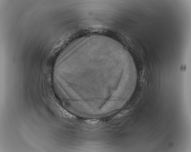 X0000110930916200907091517