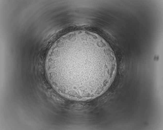 X0000110930917200907091517