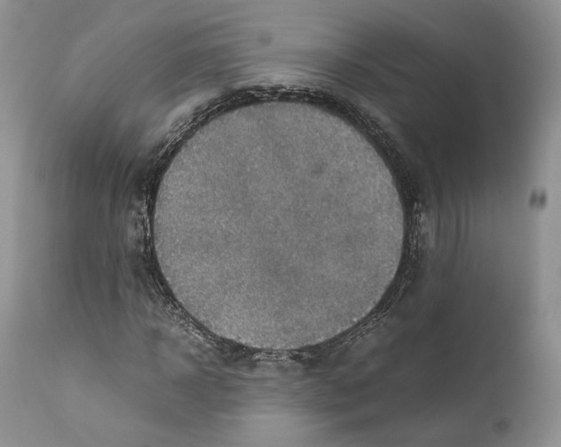 X0000110930918200907091517
