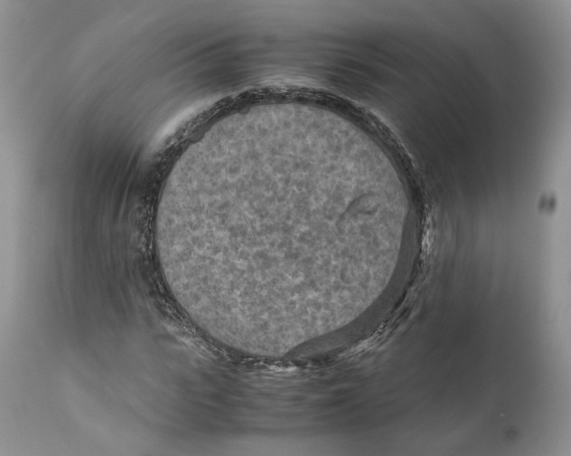 X0000110930919200907091517