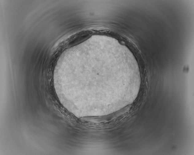 X0000110930920200907091517