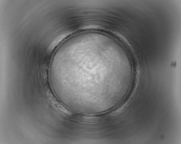 X0000110930921200907091517