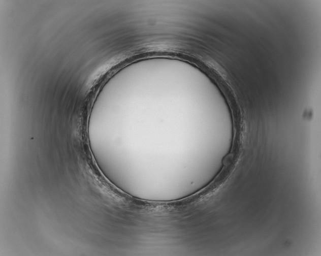 X0000110930922200907091517