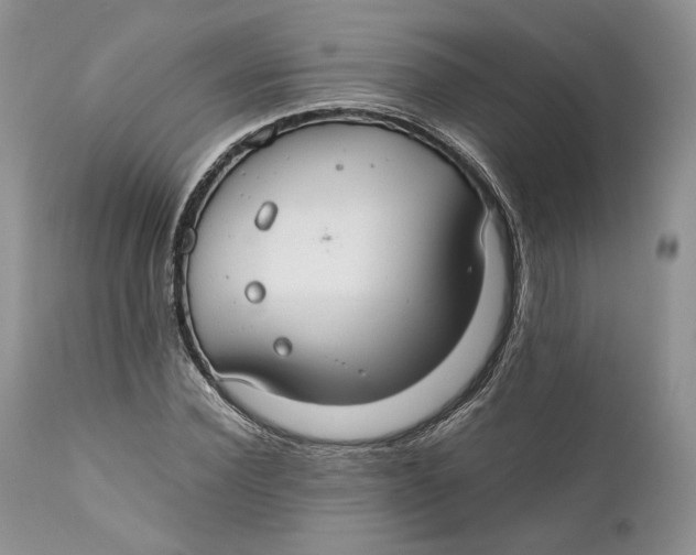 X0000110930924200907091517