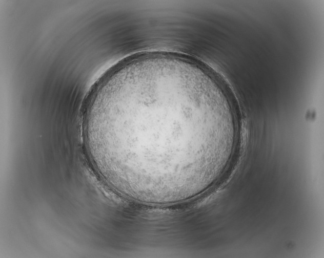 X0000110930925200907091517