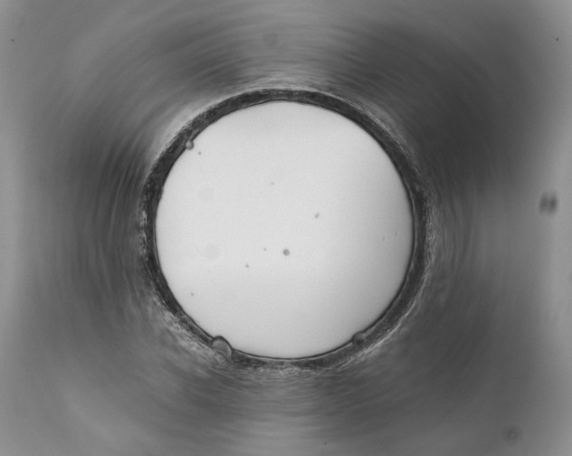 X0000110930926200907091517