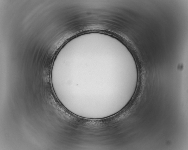 X0000110930929200907091517