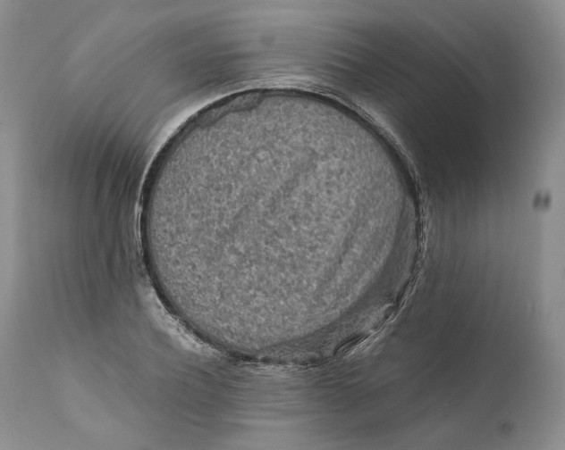 X0000110930932200907091517