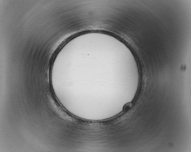 X0000110930934200907091517