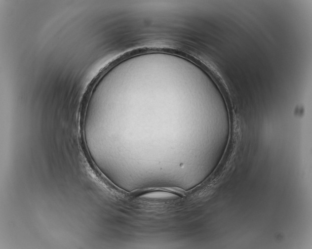 X0000110930935200907091517