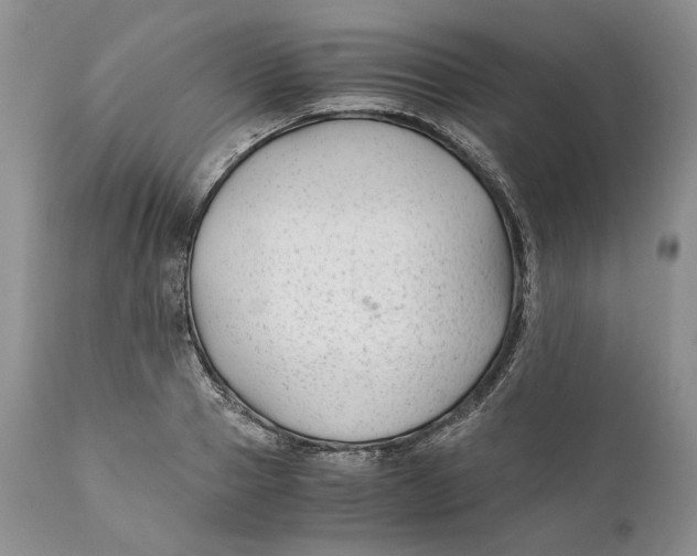 X0000110930937200907091517