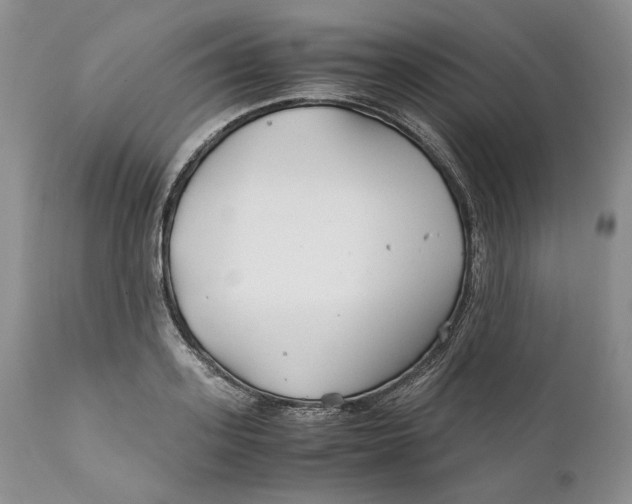 X0000110930939200907091517