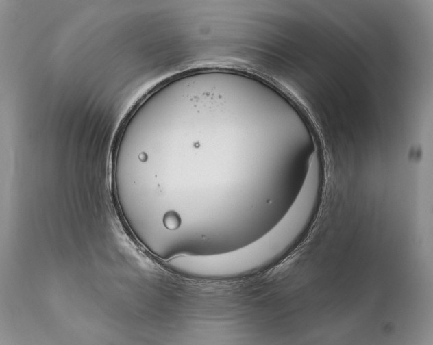 X0000110930940200907091517