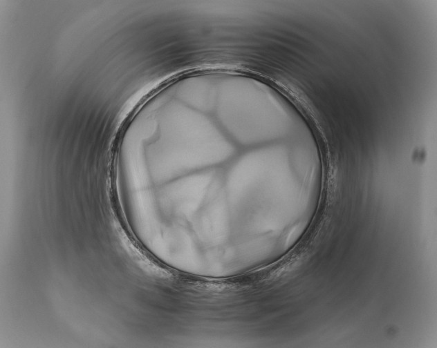 X0000110930941200907091517
