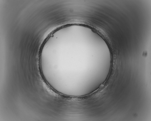 X0000110930942200907091517