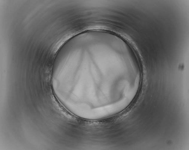X0000110930945200907091517