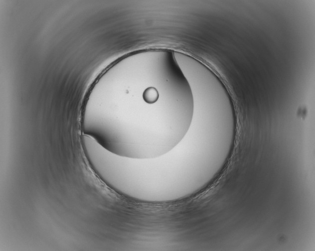 X0000110930948200907091517