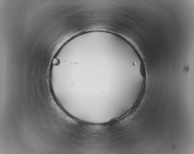 X0000110930949200907091517